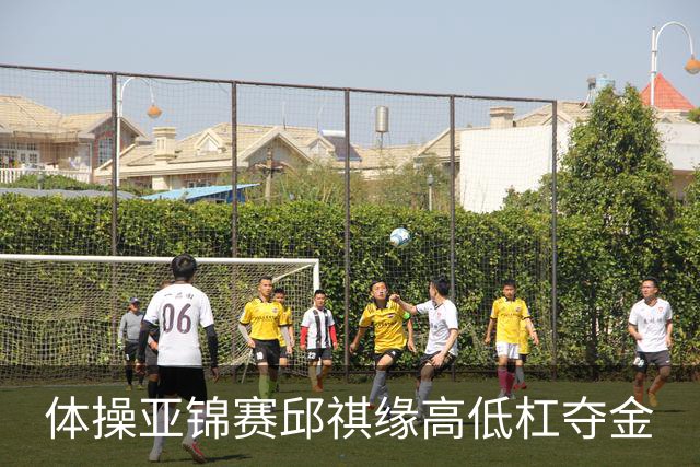 体操亚锦赛邱祺缘高低杠夺金